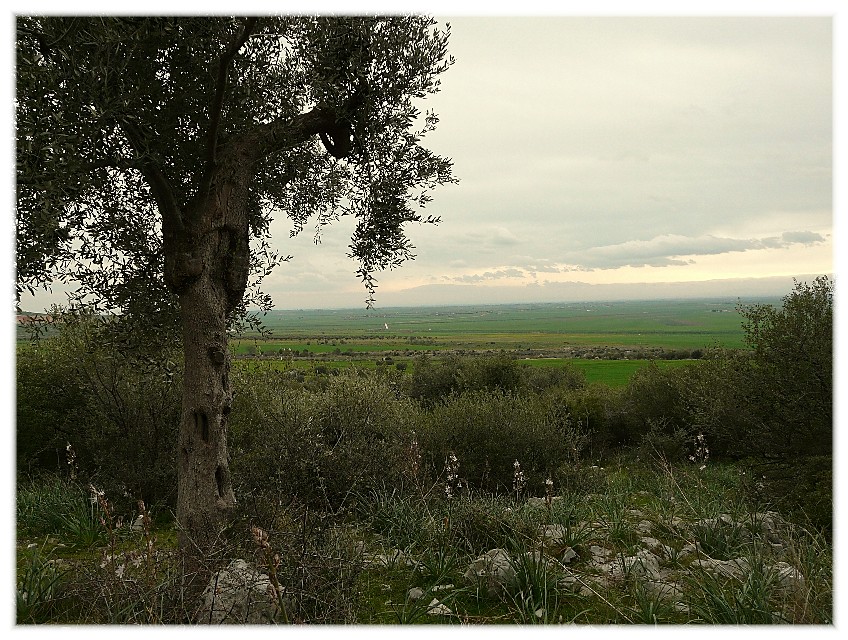 Le Steppe del Gargano